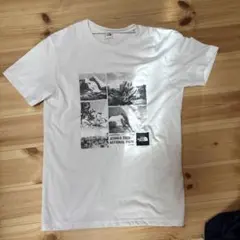 ノースTシャツ