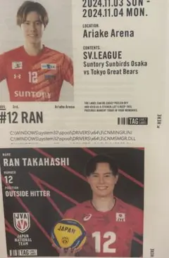 髙橋藍 スポーツ選手