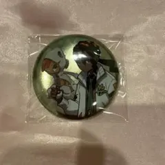 ポケモン トレーナーズ 缶バッジ ミアレ ピュール メガズルズキン