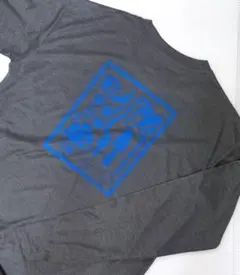 THE NORTH FACE　WATER SMOOTH T　長袖T　レディース