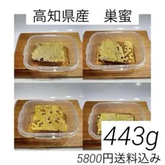 2026年最新】日本蜜蜂 巣蜜の人気アイテム - メルカリ