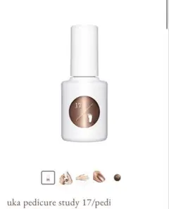 Miiko様専用　uka ペティギュアスタディ　17/1