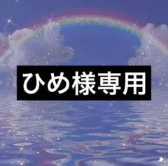 ひめ様専用