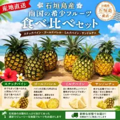 石垣島産 南国の希少フルーツ食べ比べセット パイナップル4種 ゴールド