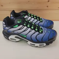 Nike Air Max Plus スニーカー 円堂守さん着用！！値下げ可能