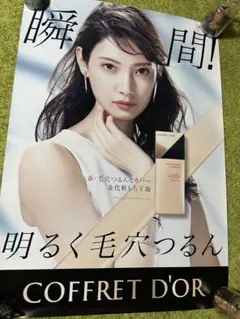 激レア／非売品／モデル／沢尻　エリカ／カネボウ化粧品コフレドールポスター 激レア／非売品／モデル／沢尻 エリカ／カネボウ化粧品コフレ