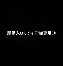 ⭐︎ 即購入OKです♡様専用③