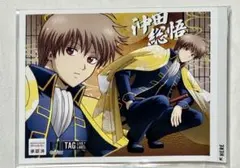 Item thumbnail for item 6d6604a9-0987-46b4-b448-20b28ef76f91