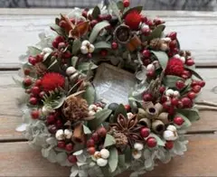 赤い実とプリザあじさいのドライフラワーリース　ナチュラルリース　クリスマスリース