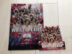 WHAT IS EXILE 2025 特典　クリアファイル、ペーパースタンド