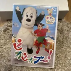 いないいないばあっ！ ピカピカブー！