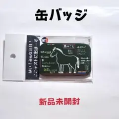 ここテストに出まーす 馬のこと 缶バッジ 新品未開封