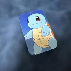 ポケモン ゼニガメ 缶 ダメカンケース