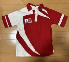 ラグビーワールドカップ2019