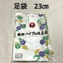 Item thumbnail for item 76f59b5b-75e1-4c3a-a020-acd3509eca23