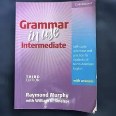 Grammer in use intermediate