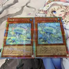 マルチャミー・プルリア　プリシク2枚セット