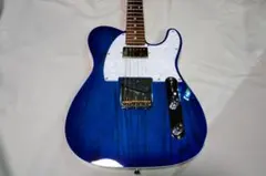 2026年最新】fgn テレキャスターの人気アイテム - メルカリ