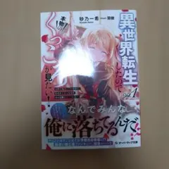 SEIICHI様 リクエスト 2点 まとめ商品