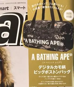 Item thumbnail for item 43d8eaf4-69a6-48b7-aea0-933645aaecd0