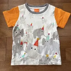 Item thumbnail for item b7524a5d-a7e5-4fe2-93fc-ce1822348b6f