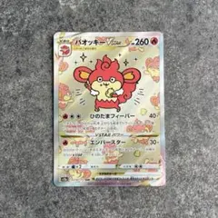 바오키 VSTAR SAR S12a VSTAR 유니버스 214/172