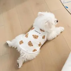 サイズS 犬服 ドッグウェア シャツ 春服 チワワ ビション 小型犬