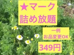 詰め放題まとめ売り　一例　お品の変更OK→コメントにてお願いします