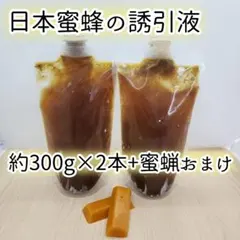 일본 꿀벌 유인 밀랍 2개 세트, 일본 꿀벌