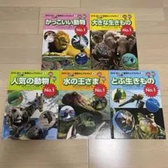 Item thumbnail for item c486cd7b-89d1-40c1-ac0c-bd834d686e54