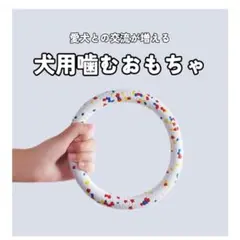 Item thumbnail for item 1d900ea5-e6ae-4e8e-acff-392ef3ef6807