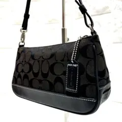 COACH シグネチャー アクセサリーポーチ ミニバッグ 黒 C3J-6094