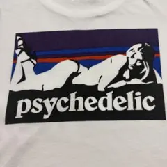 ヒステリックグラマー 2021ss 古着 Tシャツ XL パタゴニア パロ