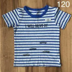 GITA ベルメゾン Tシャツ 120cm ボーダー 綿 半袖
