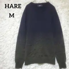 ハラ ニット セーター 希少 グラデーション メンズ 長袖 M