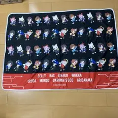 クレージーラクーン ブランケット