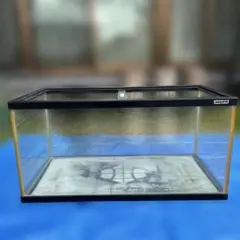 2025年最新】水槽 90 中古の人気アイテム - メルカリ