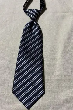 Item thumbnail for item 7eefab4e-54fd-4442-b882-9218a0eb9a0f