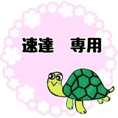 速度　スケッチブックシアター　もりのクリスマス　保育教材　クリスマス会シアター