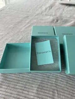 Item thumbnail for item b475ebb1-8847-4a63-8e3c-7c7d62d79275