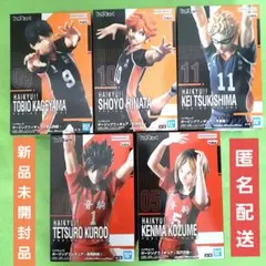 ハイキュー‼︎　ポージング　フィギュア　 鳥野　音駒　合計5体セット