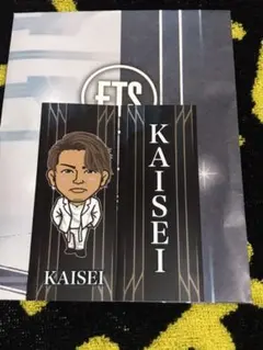 武知海青 千社札