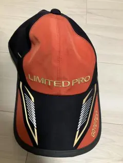 Item thumbnail for item f8b553d9-54d1-439d-9377-8b6f47c0495e