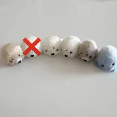 ひよこのおかげ ぴよりーな　 ちっちゃな水族館 海の生き物 あざらしセット