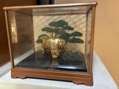 極楽鳥 剥製 ガラスケース入り インテリア 置物 - メルカリ