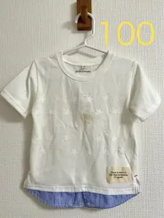 Item thumbnail for item 7c73b876-0f8e-46ac-bcc2-f35cc99c8b67