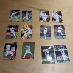 Calbee　プロ野球チップス　カード　12枚セット2024