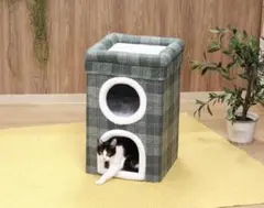 Item thumbnail for item e8b7b8cb-609c-404e-9616-a80933efe3e2