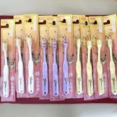 REACH リーチ キッズ 歯ブラシ ふつう　1〜6才　乳歯期用　10本セット