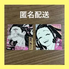 鬼滅の刃 スクエアステッカーコレクション 竈門禰豆子 JF2026 2枚